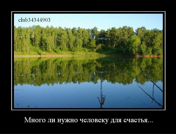 x_e8e5085c.jpg