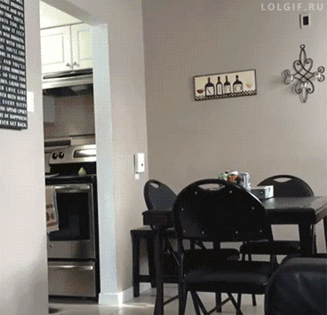 tumblr_nkkriuBhuJ1u2jwbho1_400.gif