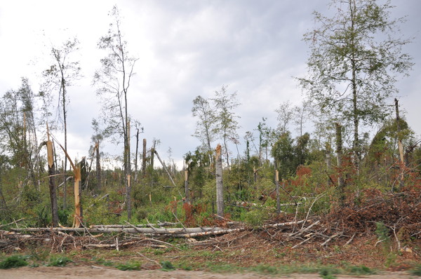 i-599.jpg