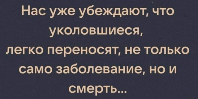 15954980.jpg