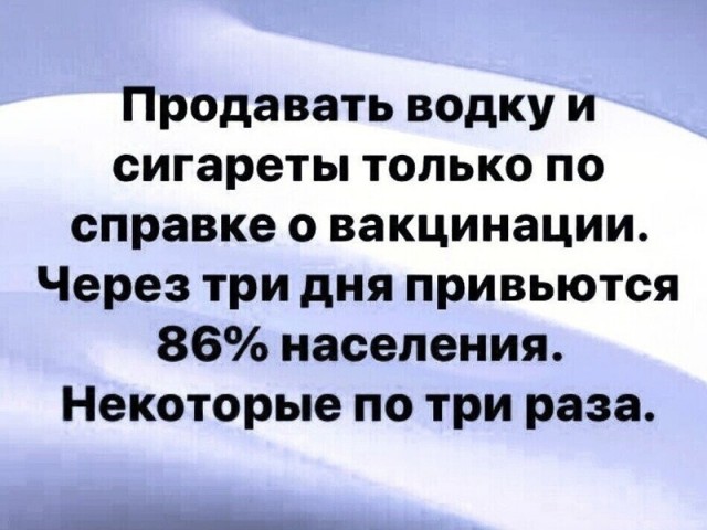 15768019.jpg
