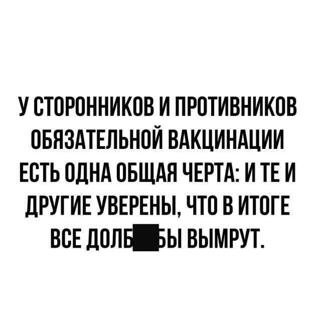15745497.jpg