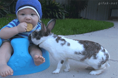 tumblr_nms8essvqR1s2yegdo1_400.gif