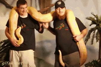 tumblr_naexiyVZyP1s2yegdo1_400.gif