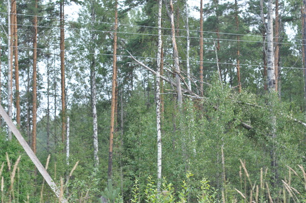 i-515.jpg