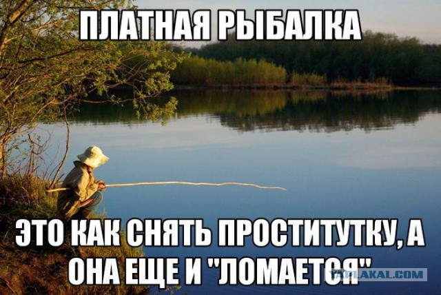 8398224.jpg