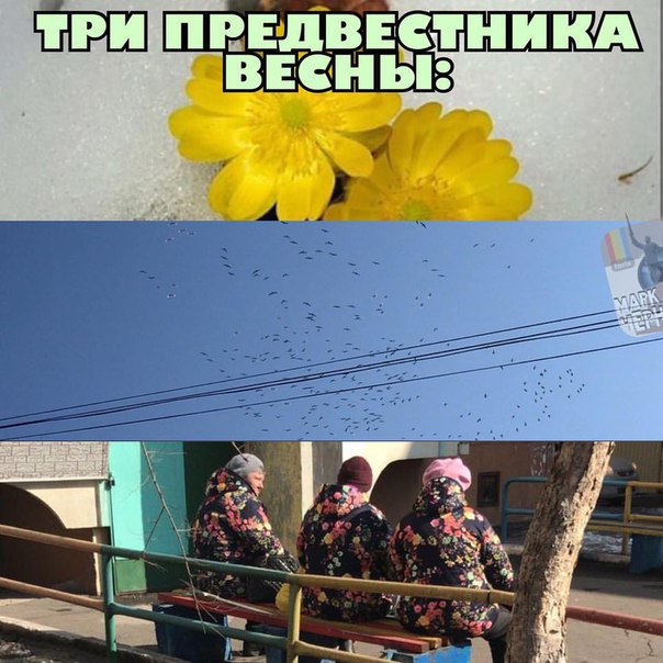 gHiD6XMByuc.jpg