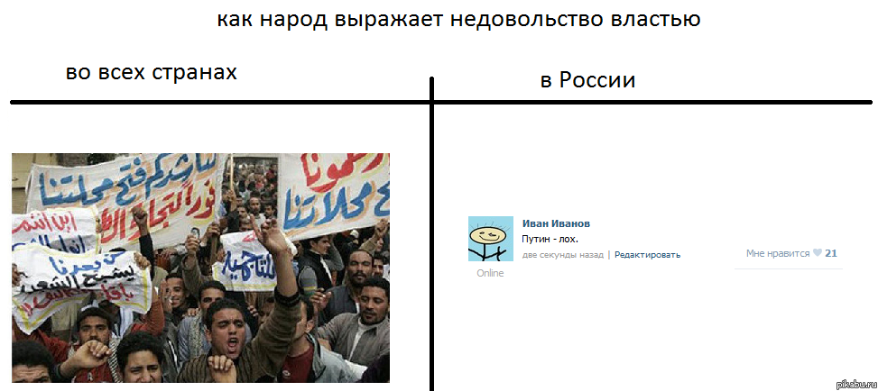 cd8.png