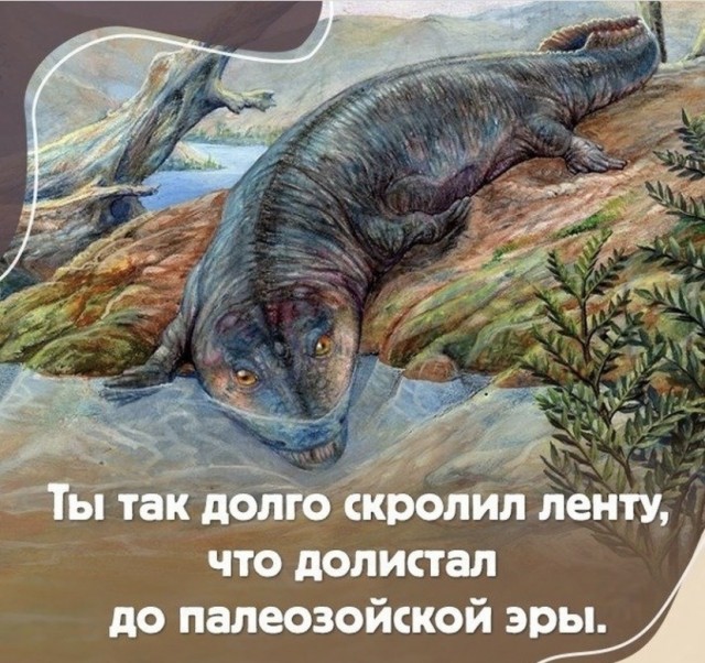 15620844.jpg