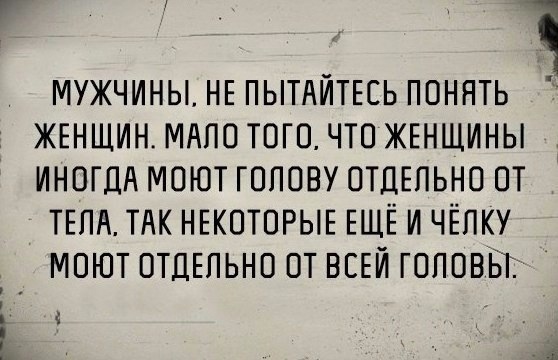 15560026.jpg