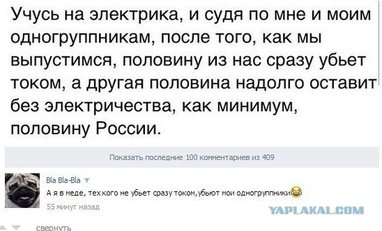3092821.jpg