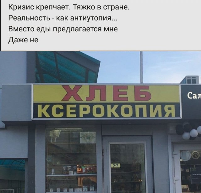15372345.jpg