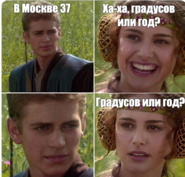 15688496.jpg