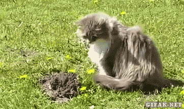 tumblr_n8ps28n3nZ1s2yegdo1_400.gif