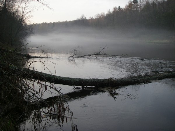i-3730.jpg