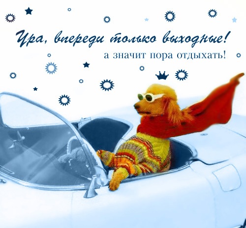 45313621_362390.jpg