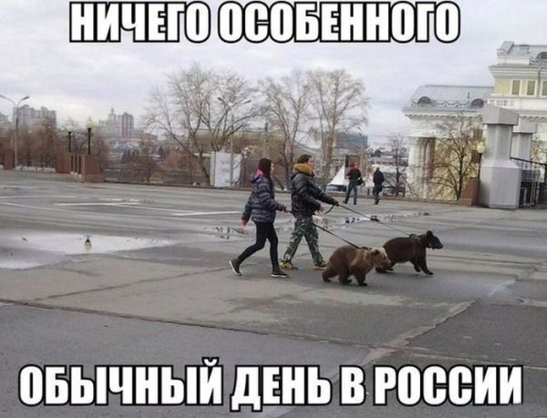 1383151307_f.jpg