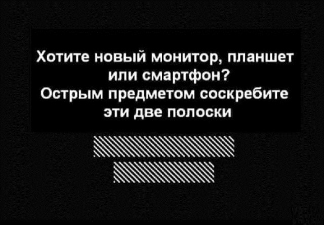 12838715.jpg
