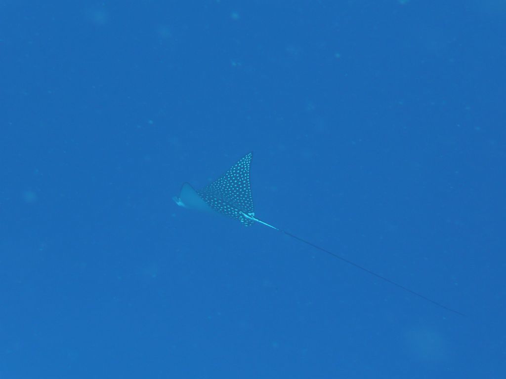 s-1251.JPG