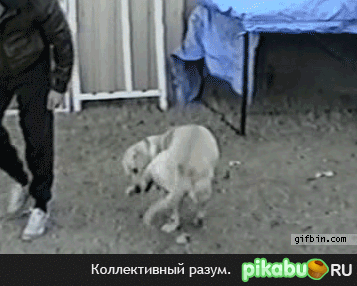 18d.gif