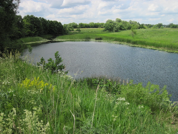 i-803.jpg