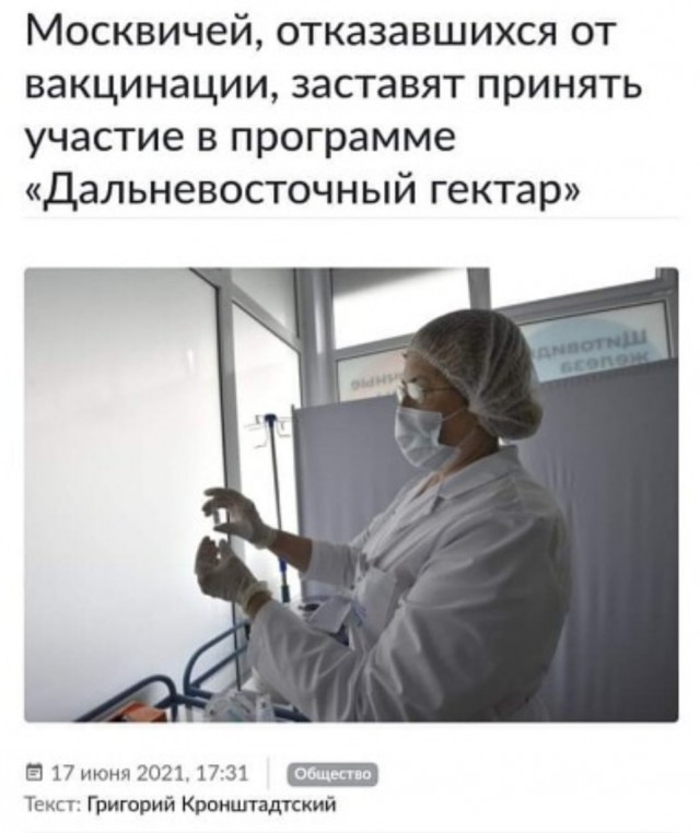 15660946.jpg