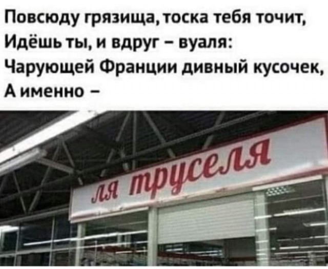 15989690.jpg