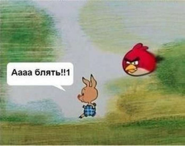 -TJGRl5Gc3s.jpg