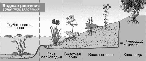 post-125254-1288168069.jpg