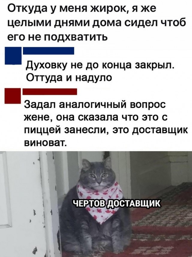 16199465.jpg