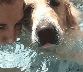 tumblr_nasq02L1aT1s2yegdo1_400.gif
