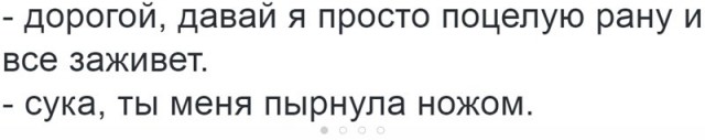 9194204.jpg