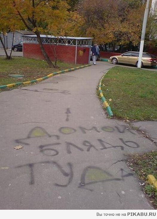 9ffaa3.jpg