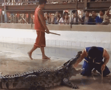 tumblr_nlvp34XQtQ1s2yegdo1_400.gif