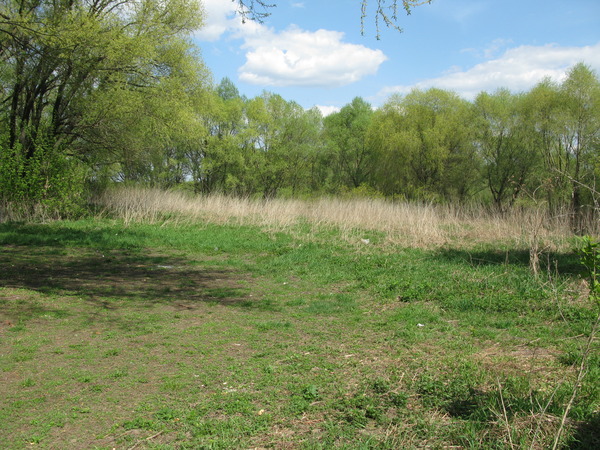 i-216.jpg