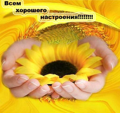 179.jpg