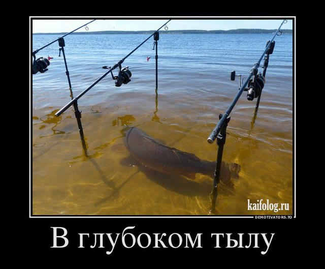 1435809512_004.jpg