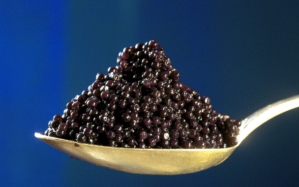 47655214_1250594977_sturgeon_caviar.jpg