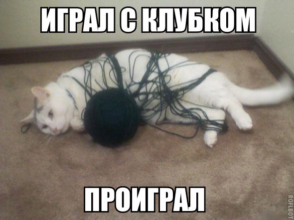 3wl8sAxIOqY.jpg