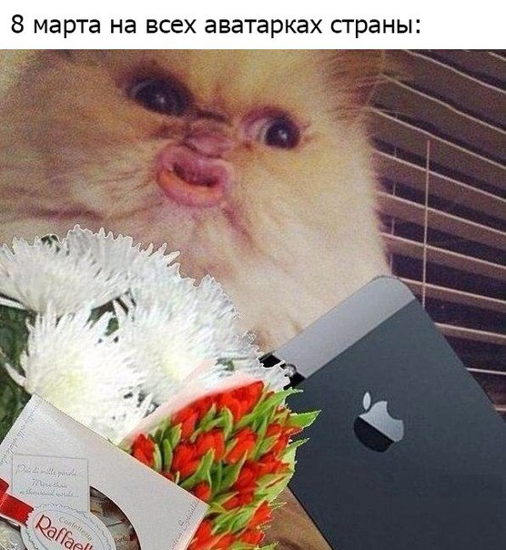 jTVFvRBBo14.jpg