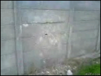 gifki_03.gif