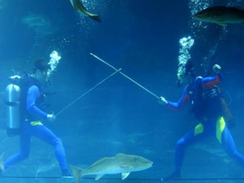 underwater_sports_05.jpg