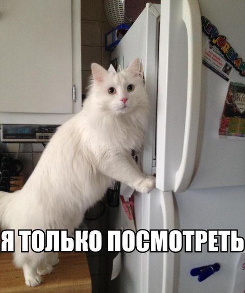 xa0WjNfNj58.jpg