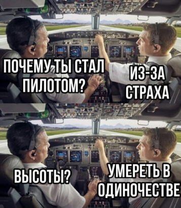 16317674.jpg
