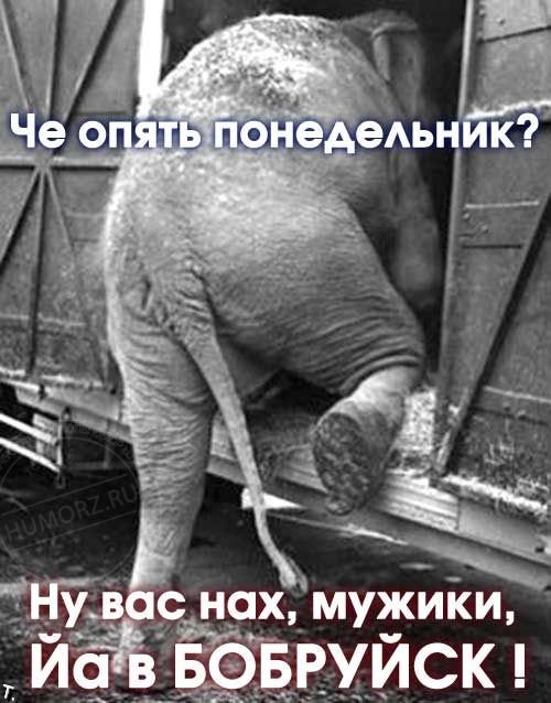 ponedelnik_12.jpg