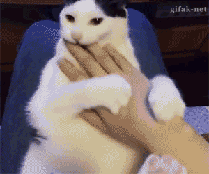 tumblr_nrd56g38wB1s2yegdo1_400.gif
