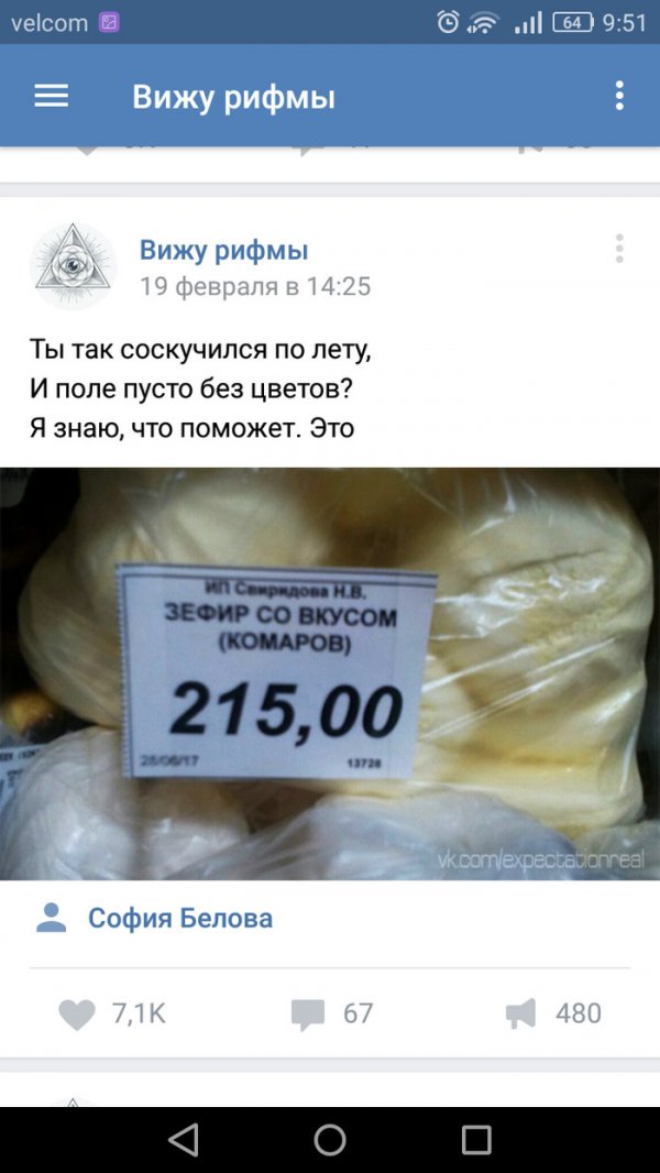 11110375.jpg