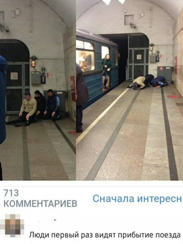 15981515.jpg