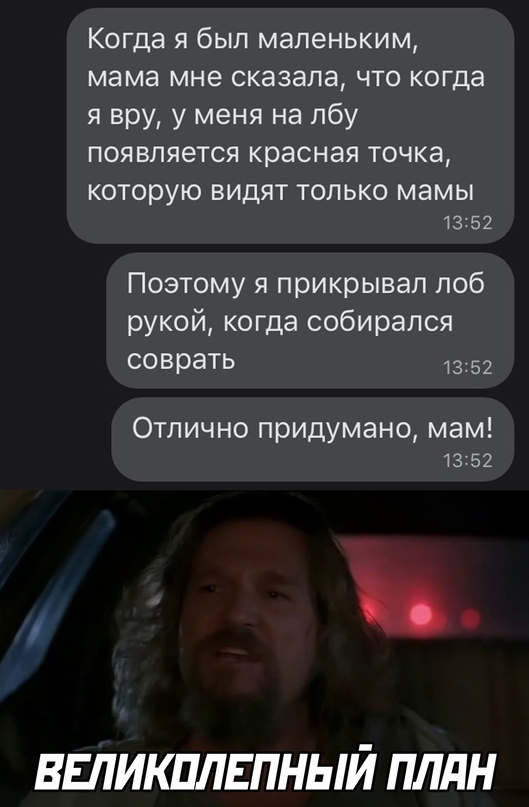 15519578.jpg