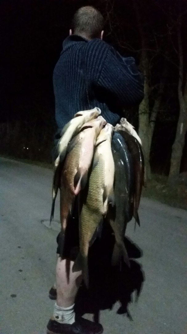u3zsUbKSkR8.jpg